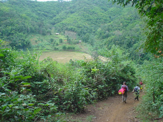 DSC00521terraces.JPG