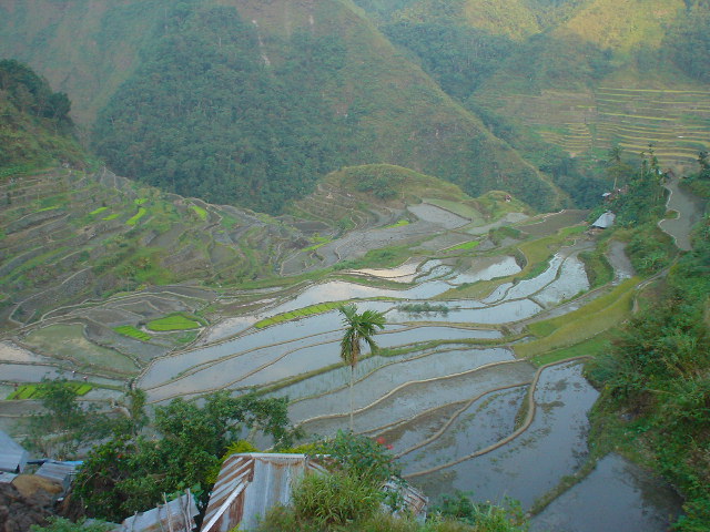 DSC01488terraces.JPG