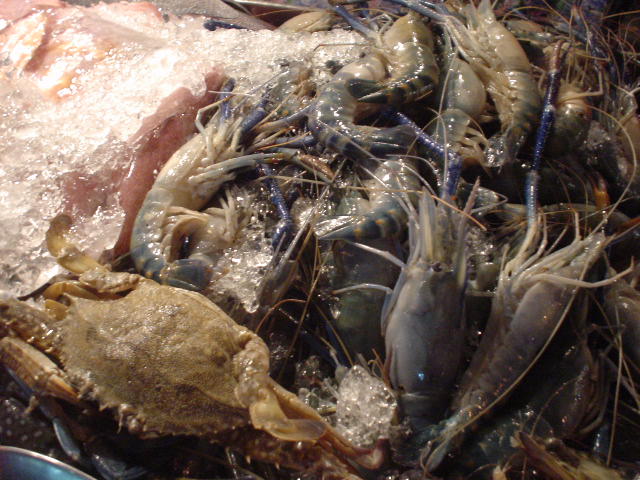 DSC00124seafood.JPG