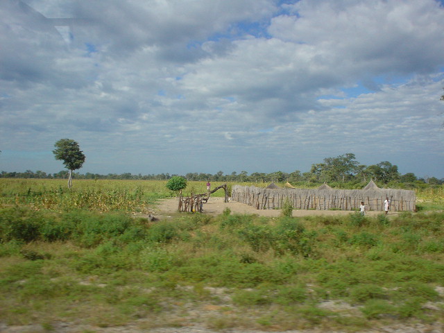 DSC00837realafricaD.JPG