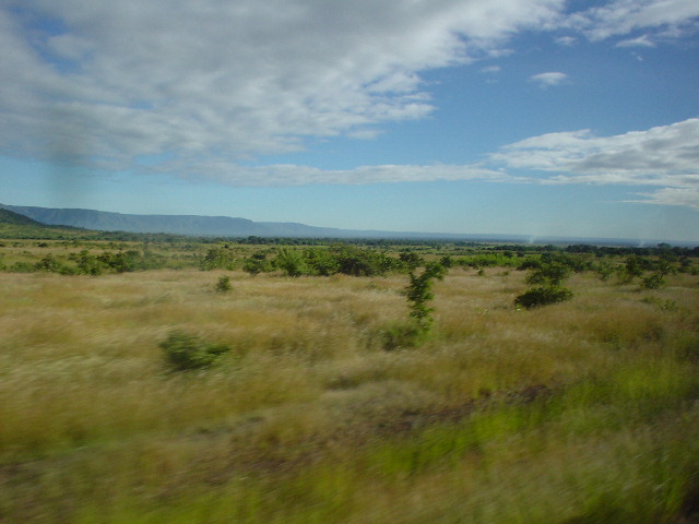 DSC01445grasslandsD.JPG