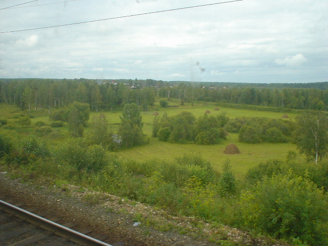 DSC01905fieldwithhay.JPG